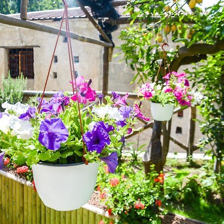 Holiday House Ruocco Maiori Dış mekan fotoğraf