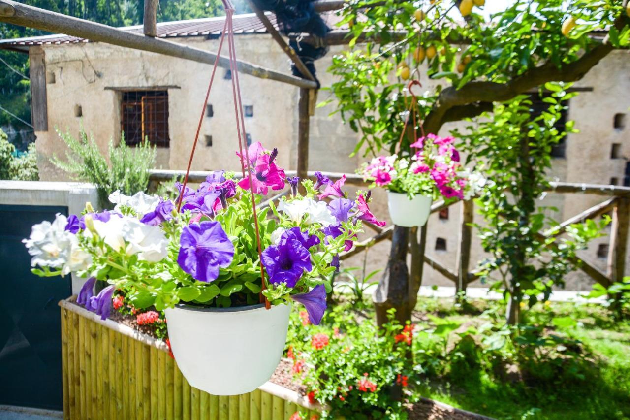 Holiday House Ruocco Maiori Dış mekan fotoğraf
